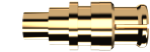 Picture of SMP Female